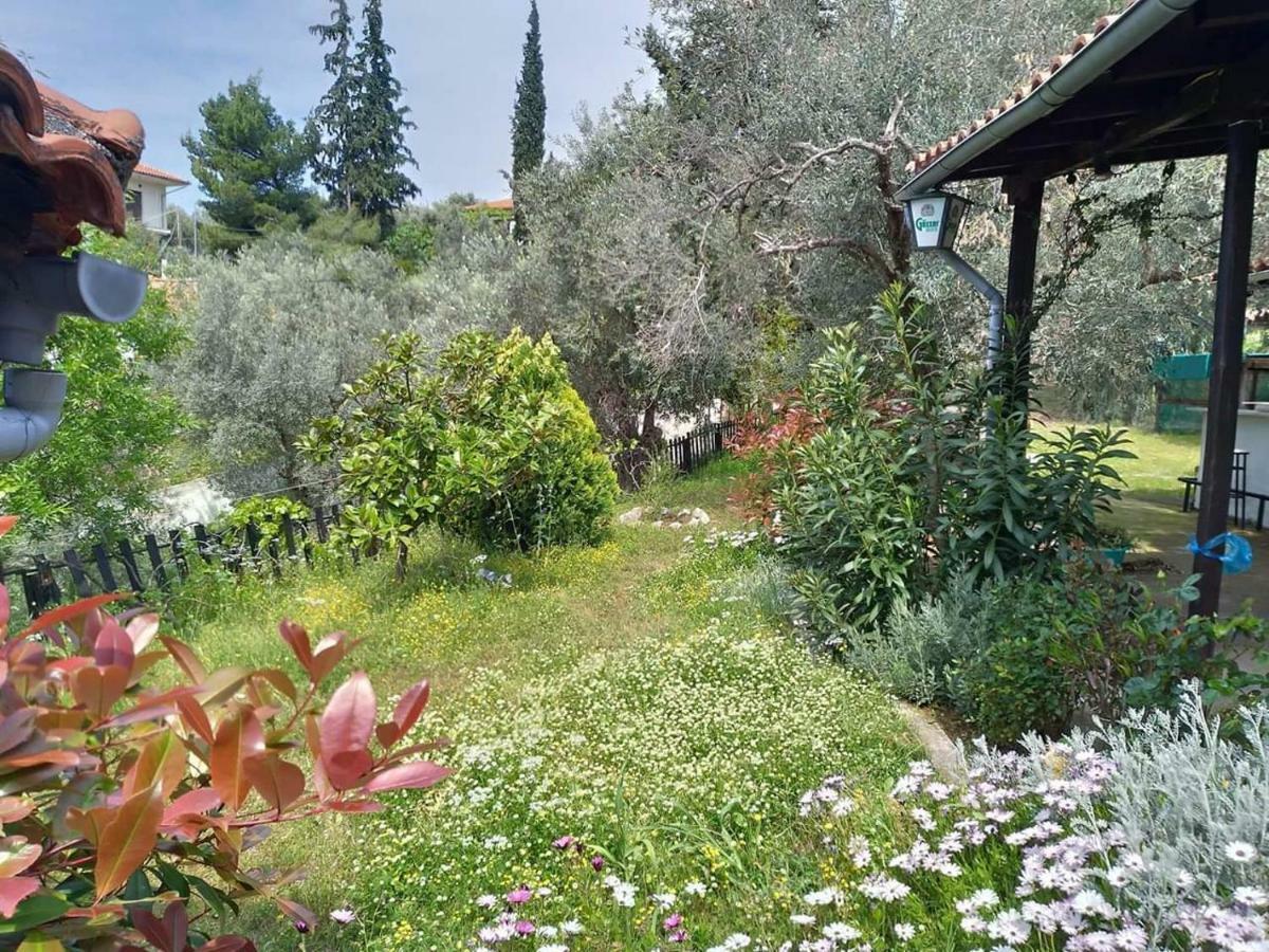 Persefoni House Villa Afissos Exterior photo